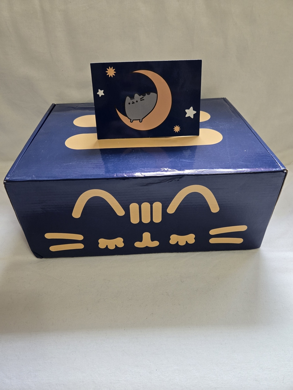 Pusheen Fall 2020 Subscription Box